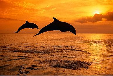 心理惊悚游戏《洛蕾塔》2月16日登陆Steam