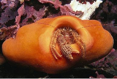 《星际拓荒》登陆Switch发售 太空探索互动冒险